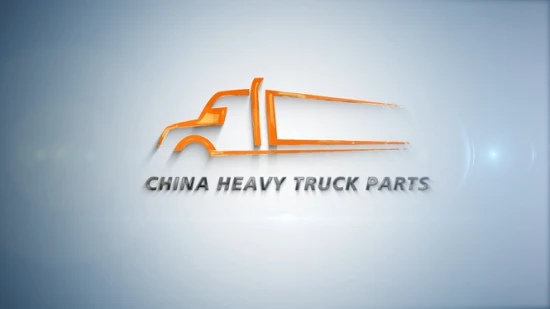 Sinotruk C7h/T7h/T5g China Heavy Truck Sitrak Chasis Axle Parts Wg4007410069 Piezas de camión con junta tórica en forma de O